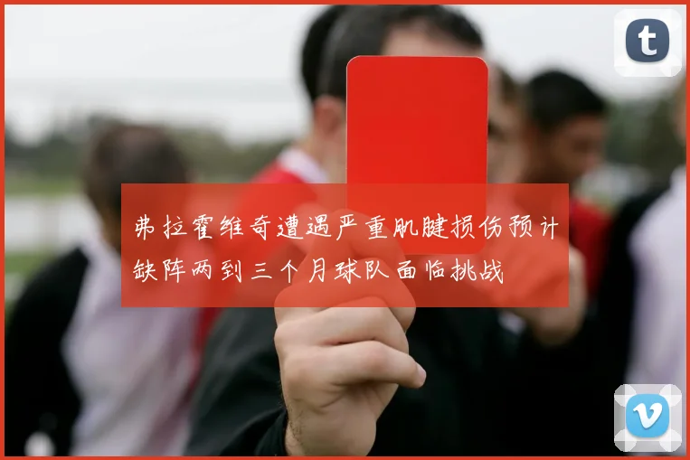 弗拉霍维奇遭遇严重肌腱损伤预计缺阵两到三个月球队面临挑战