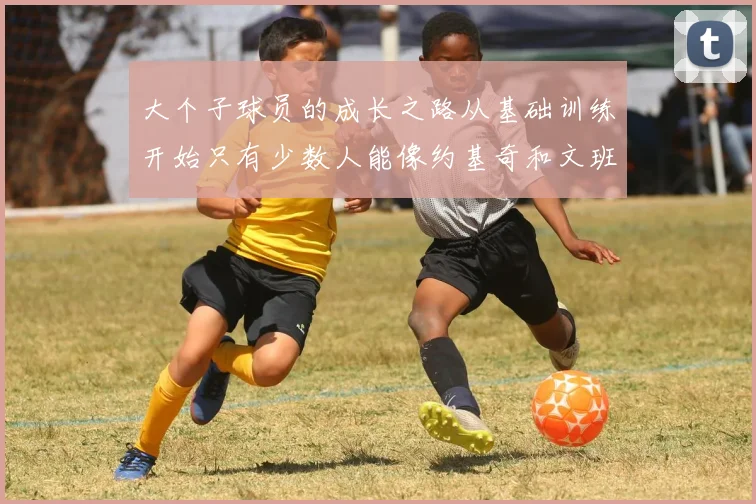 大个子球员的成长之路从基础训练开始只有少数人能像约基奇和文班那样成功