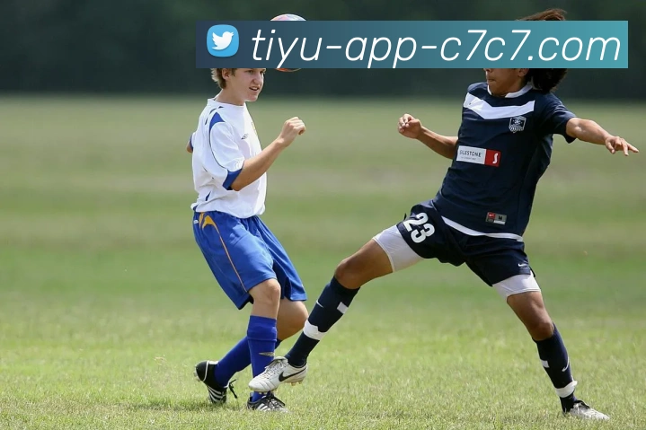 App Interface Preview