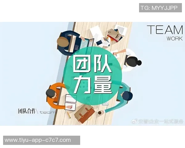 成功的背后是团队的力量每一位成员都是不可或缺的贡献者